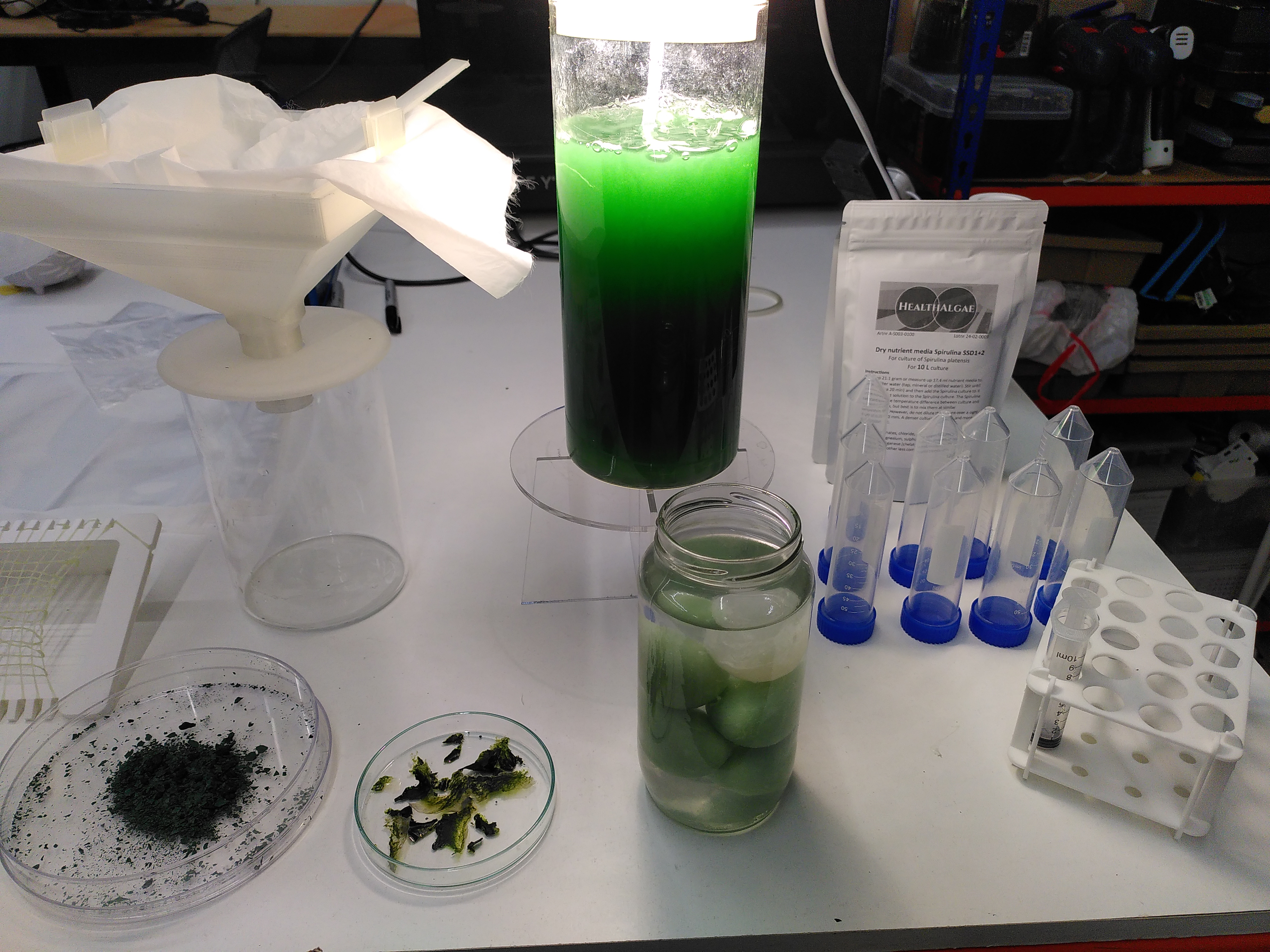 Learning to grow various algae cultures